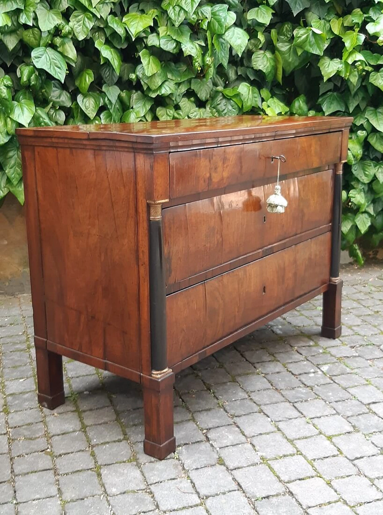 Modena Empire walnut paneled commode, early 19th century 6