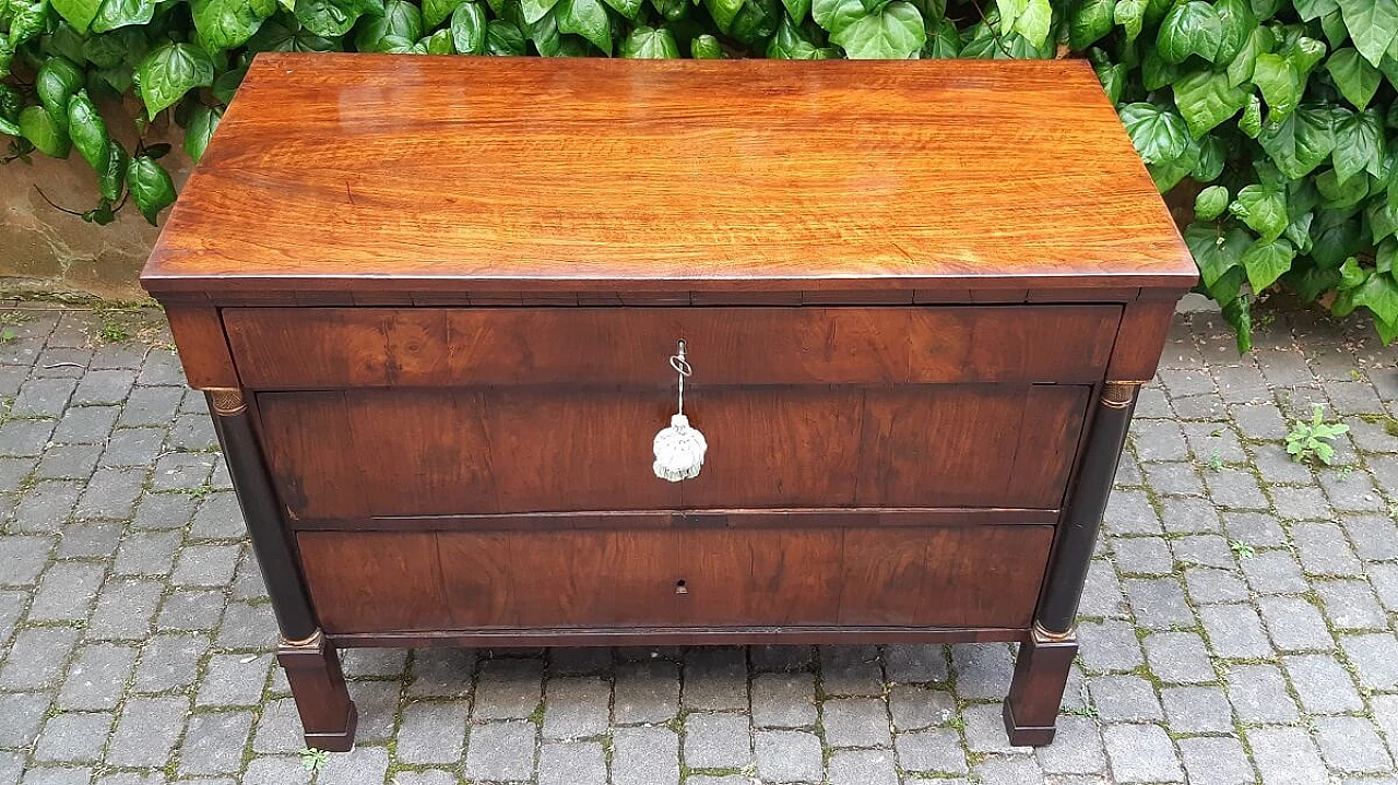 Modena Empire walnut paneled commode, early 19th century 8