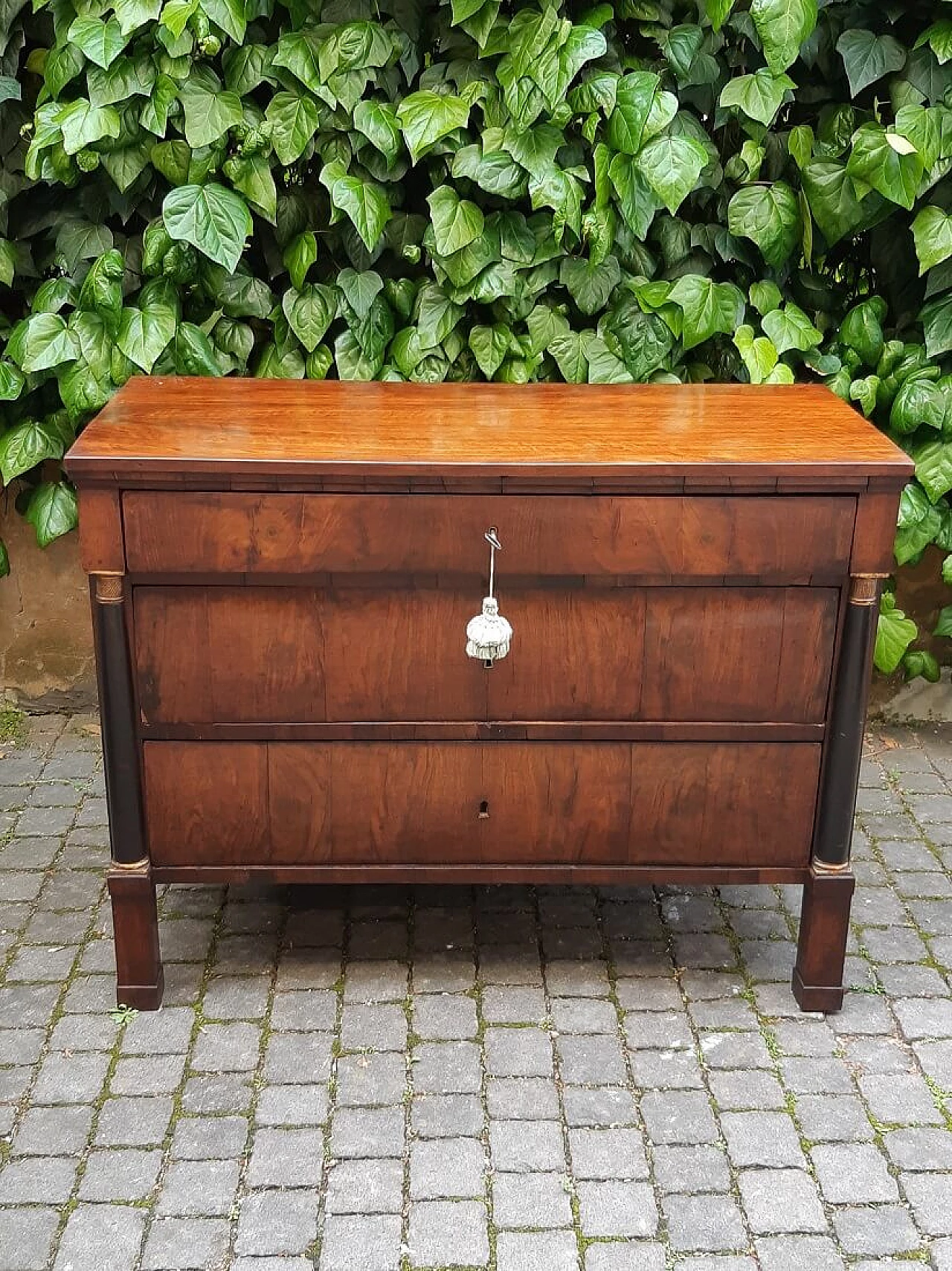 Modena Empire walnut paneled commode, early 19th century 9