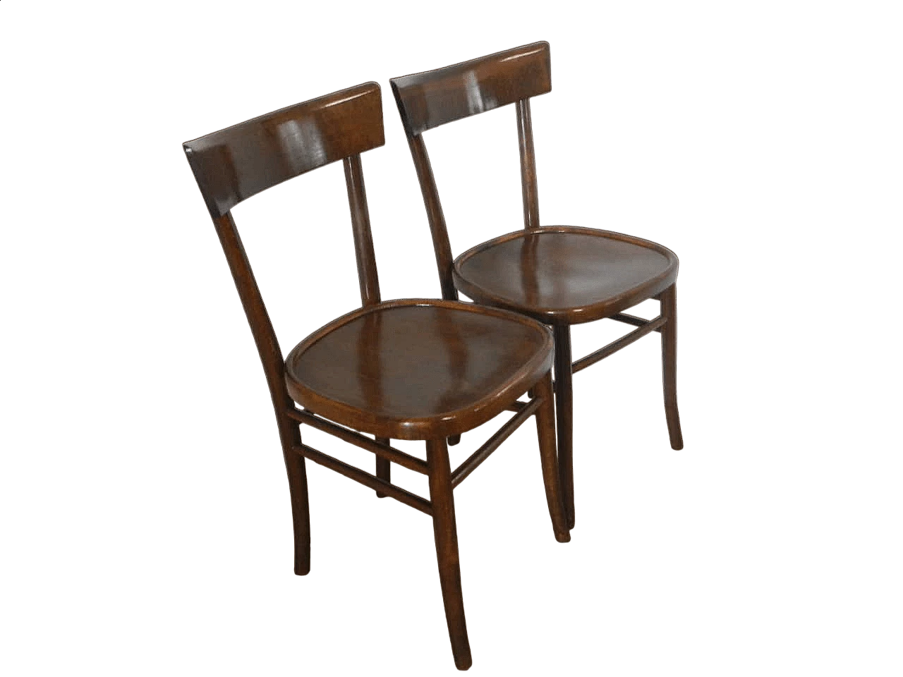 Coppia di sedie in faggio tinto, anni '50 10