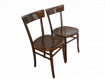 Coppia di sedie in faggio tinto, anni '50