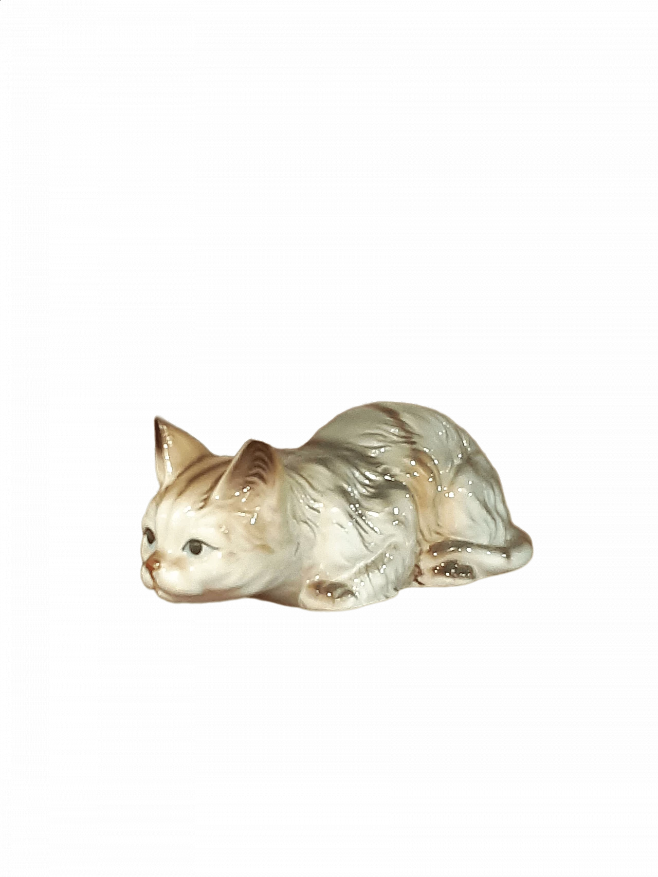 Scultura inglese in porcellana di gatto europeo 4