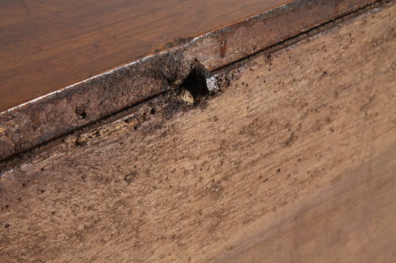 Cassapanca in noce, fine '600 6