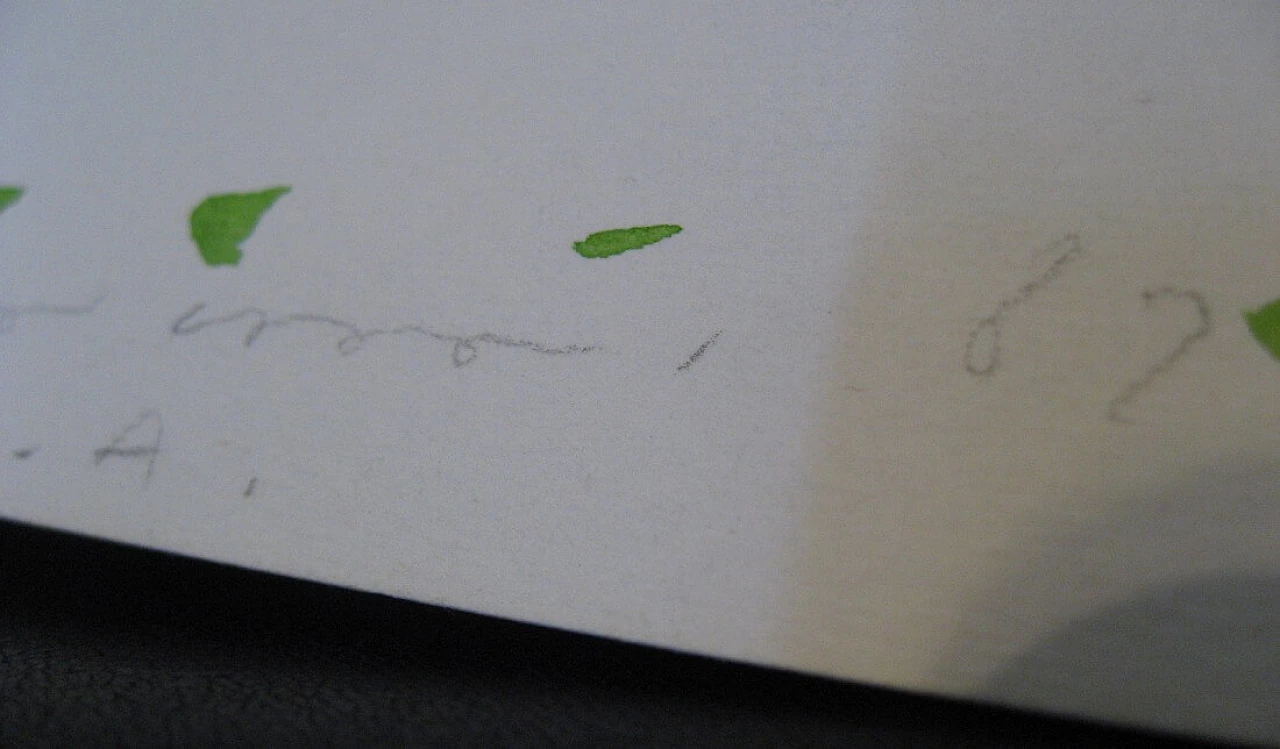 Giuliano Della Casa, airone, acquerello su carta, 1982 4