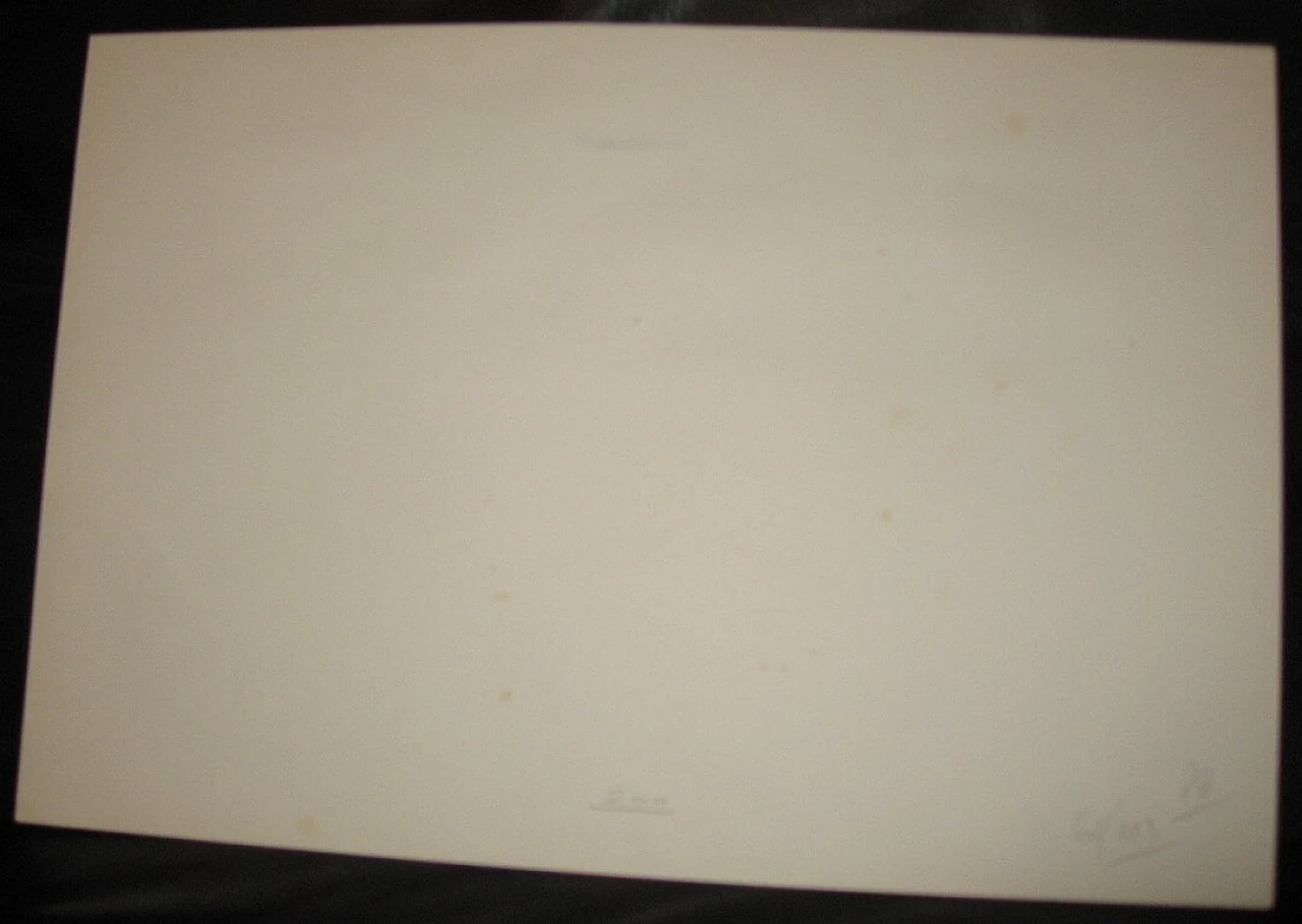 Giuliano Della Casa, airone, acquerello su carta, 1982 6