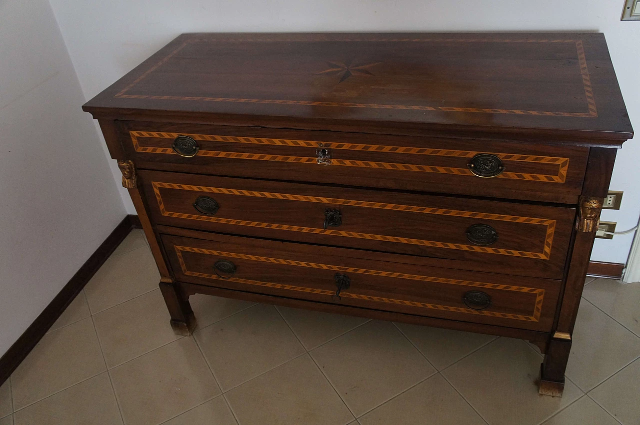Cassettone Luigi XVI in noce intarsiato, '800 4