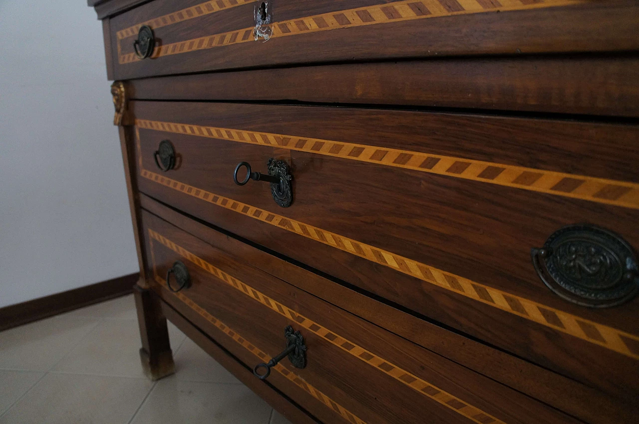 Cassettone Luigi XVI in noce intarsiato, '800 12