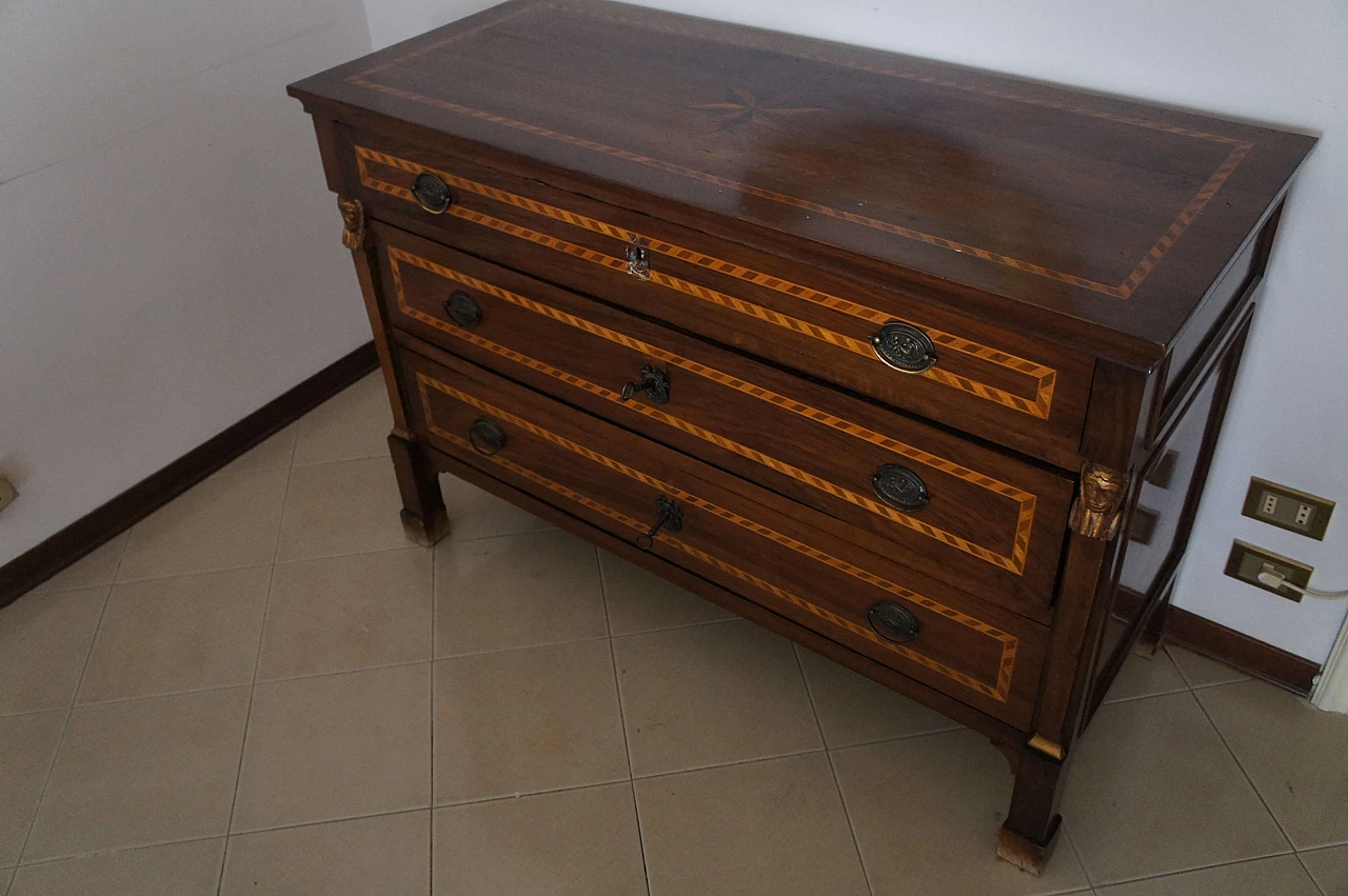 Cassettone Luigi XVI in noce intarsiato, '800 14