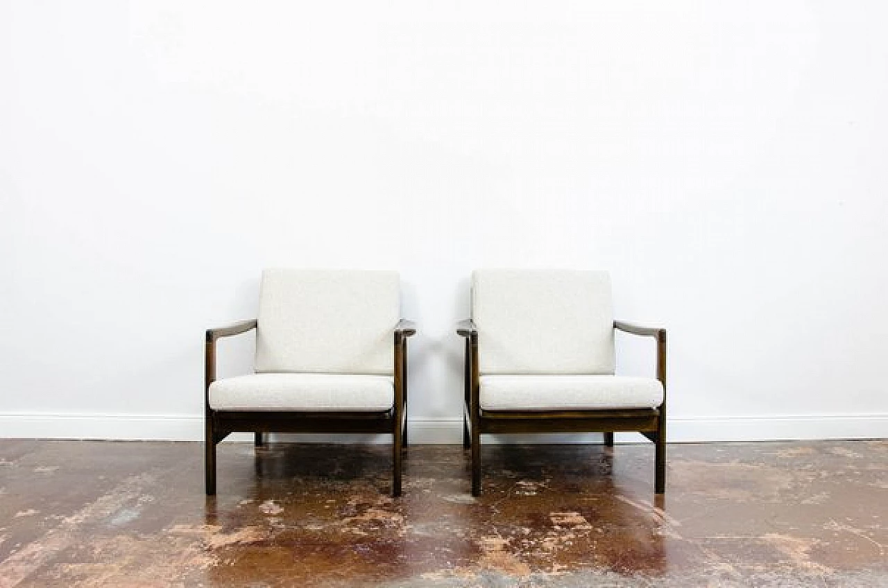 Pair of B 7522 armchairs by Zenon Bączyk for SFM, 1960s 16