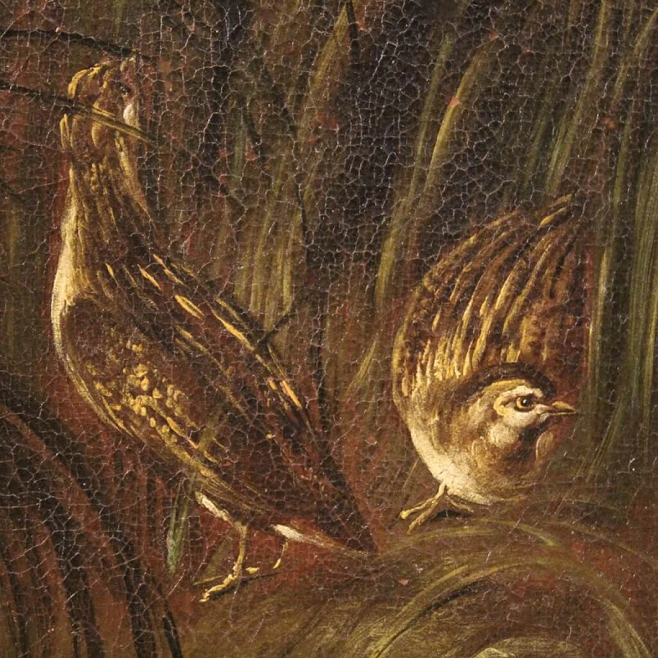 Landscape with hunting dogs and partridges, oil painting on canvas, 18th century 15