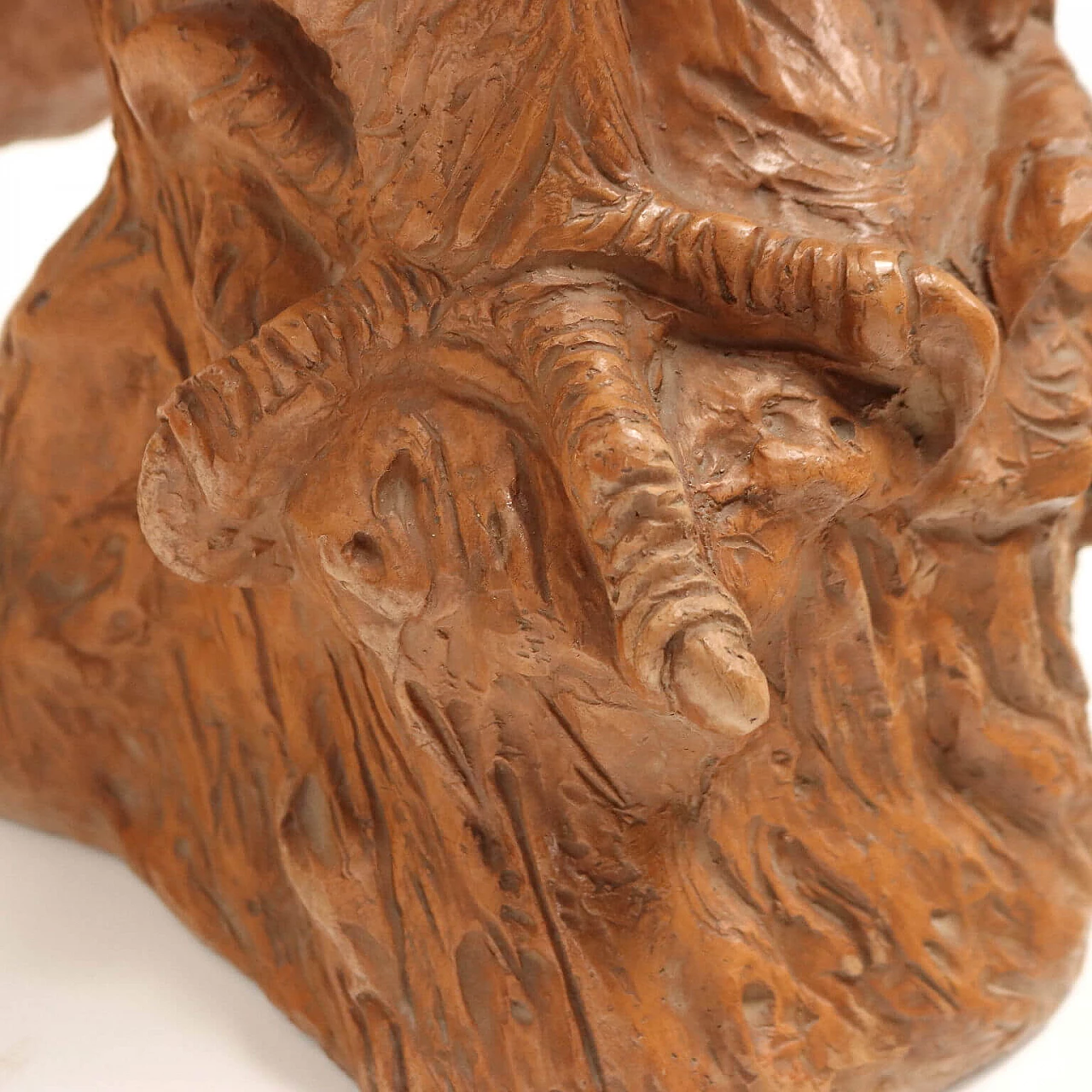 Scultura di aquila in terracotta 7