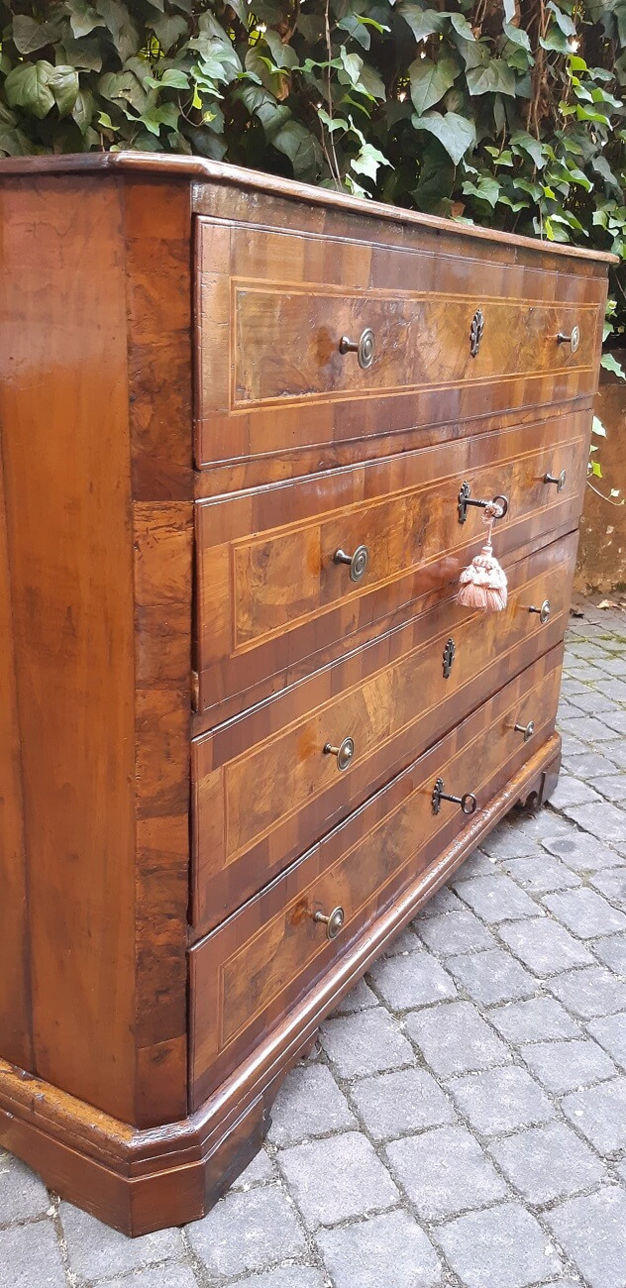 Solid walnut dresser with walnut-root panelled front, 18th century 3