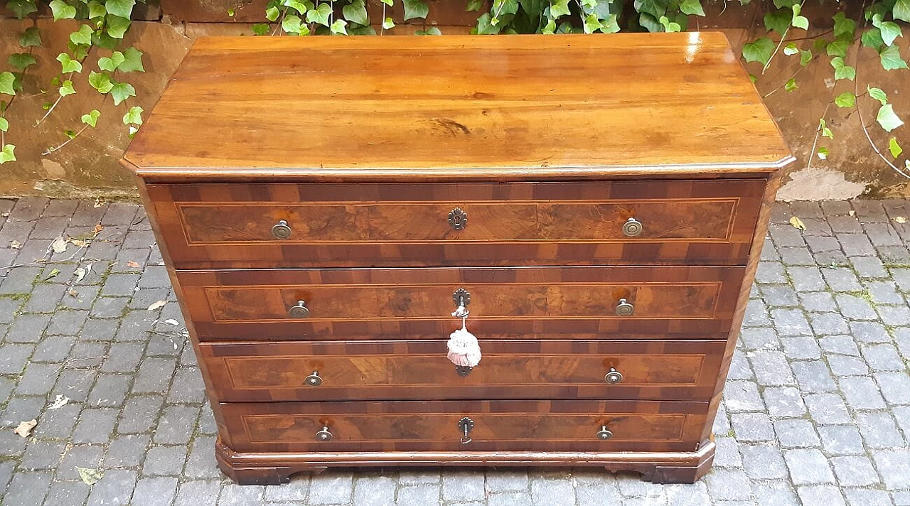 Solid walnut dresser with walnut-root panelled front, 18th century 6
