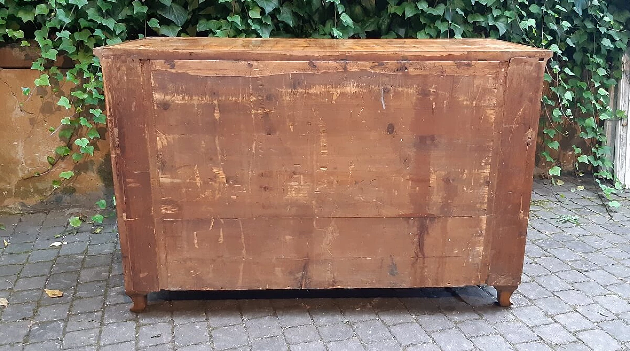 Cassettiera viennese in radica di noce e betulla, acero e ciliegio, '800 1306531