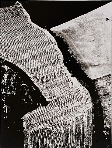 Mario Giacomelli, Presa di coscienza sulla natura, silver salt gelatin print, 1980s