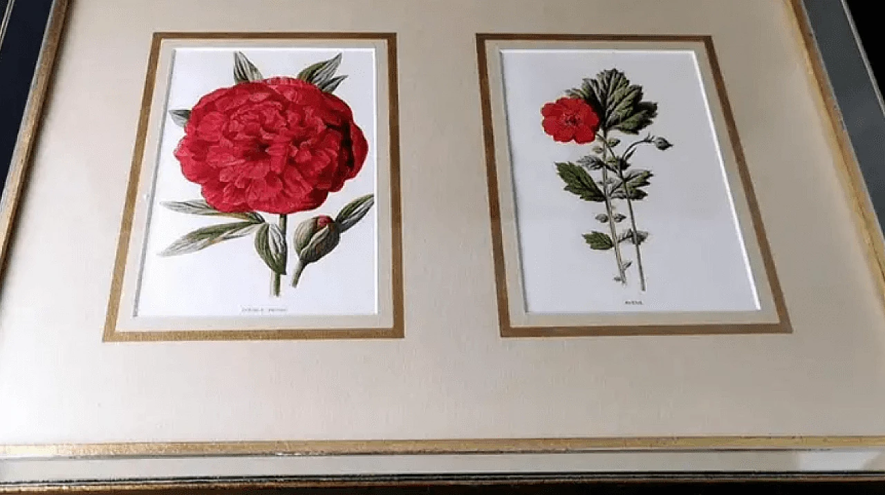 Cornice a specchio con stampe cromolitografiche inglesi con fiori, inizio '900 4