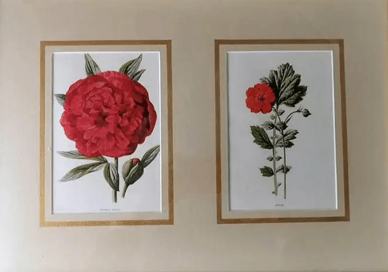 Cornice a specchio con stampe cromolitografiche inglesi con fiori, inizio '900 5