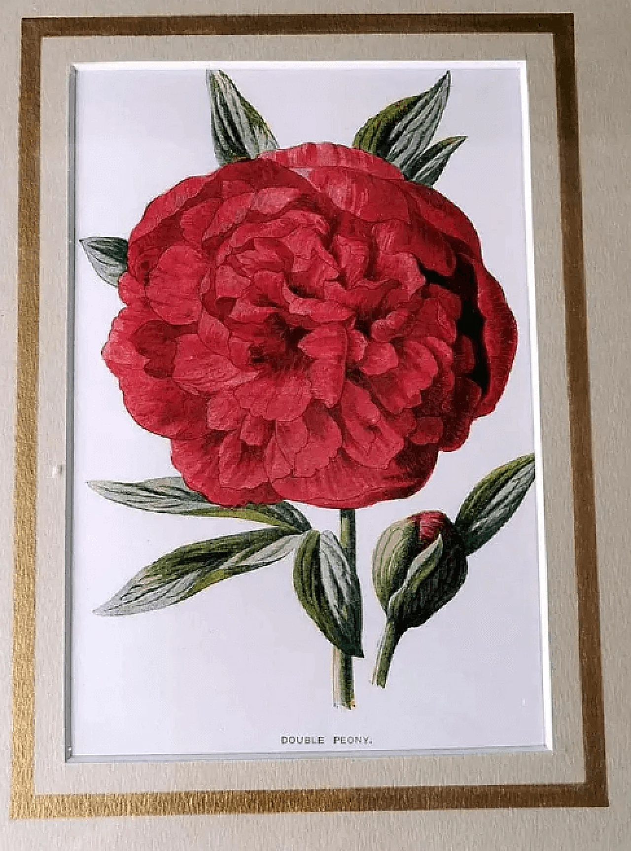 Cornice a specchio con stampe cromolitografiche inglesi con fiori, inizio '900 6
