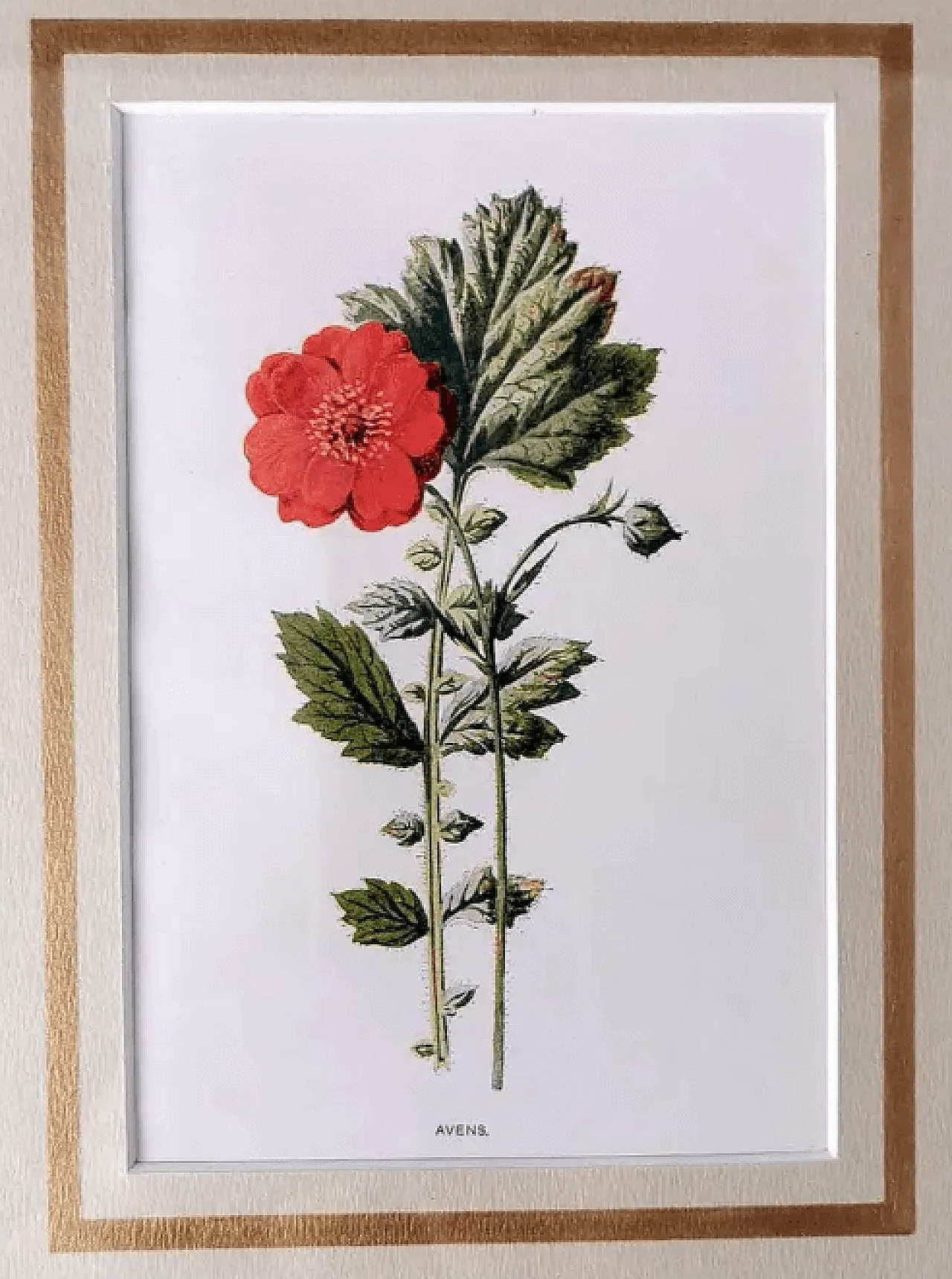 Cornice a specchio con stampe cromolitografiche inglesi con fiori, inizio '900 8