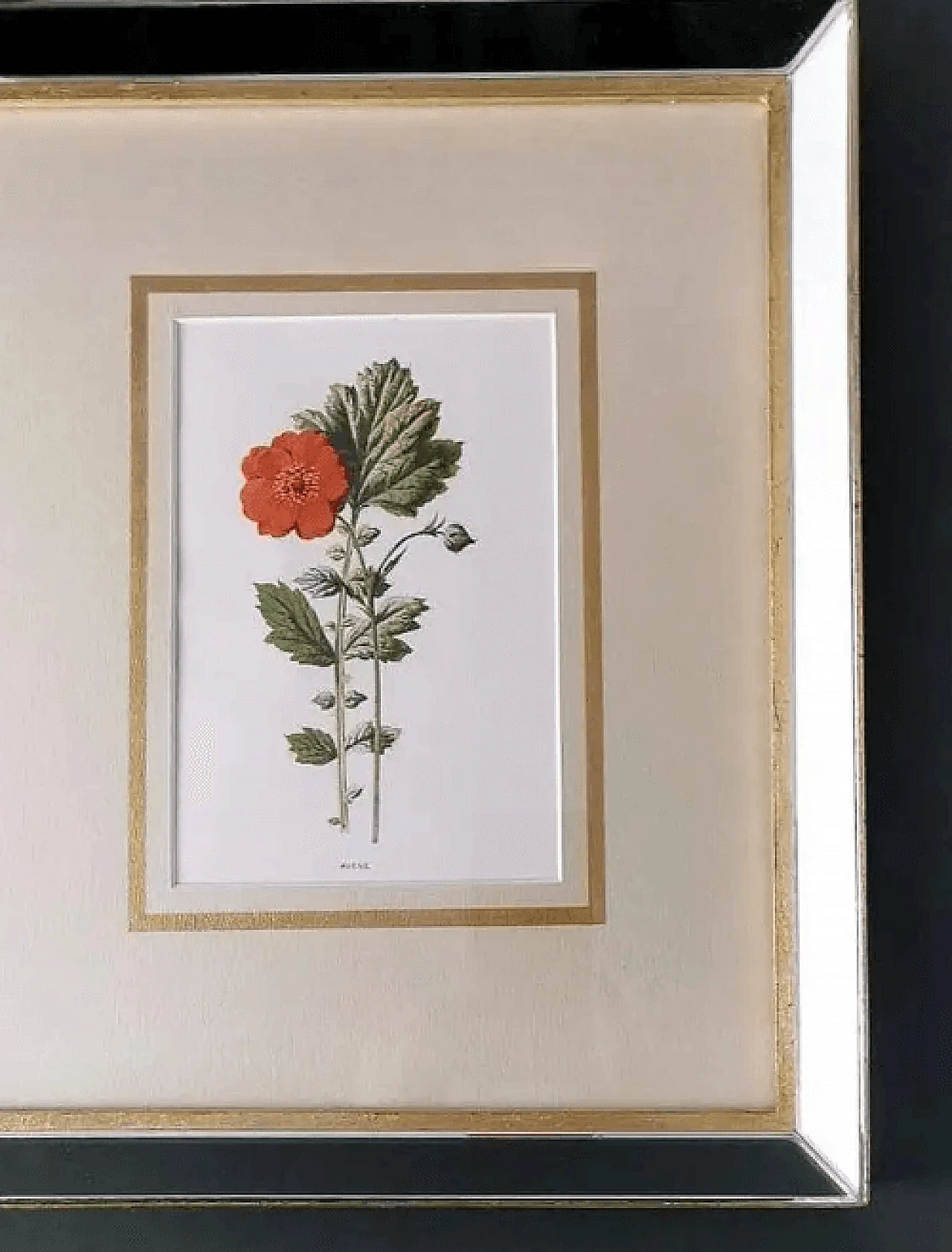 Cornice a specchio con stampe cromolitografiche inglesi con fiori, inizio '900 11