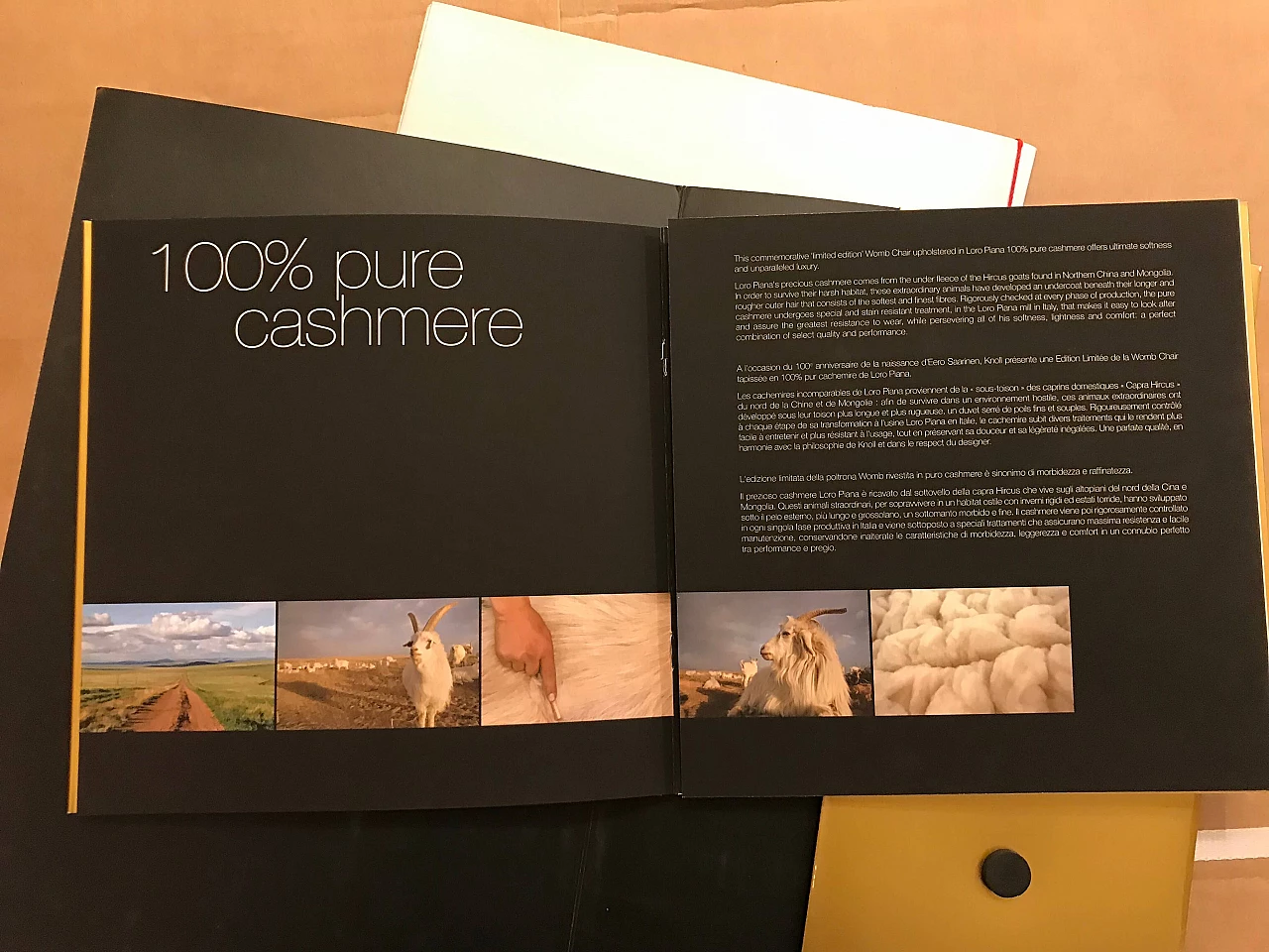 Poltrona Womb Chair di Eero Saarinen per Knoll, 2010 2