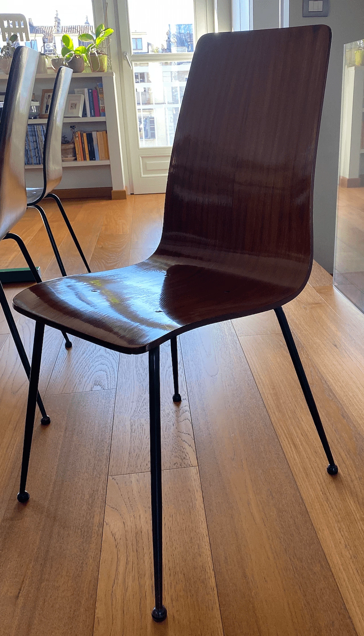 6 Sedie in legno curvato con struttura in metallo laccato di Carlo Ratti, anni '50 1