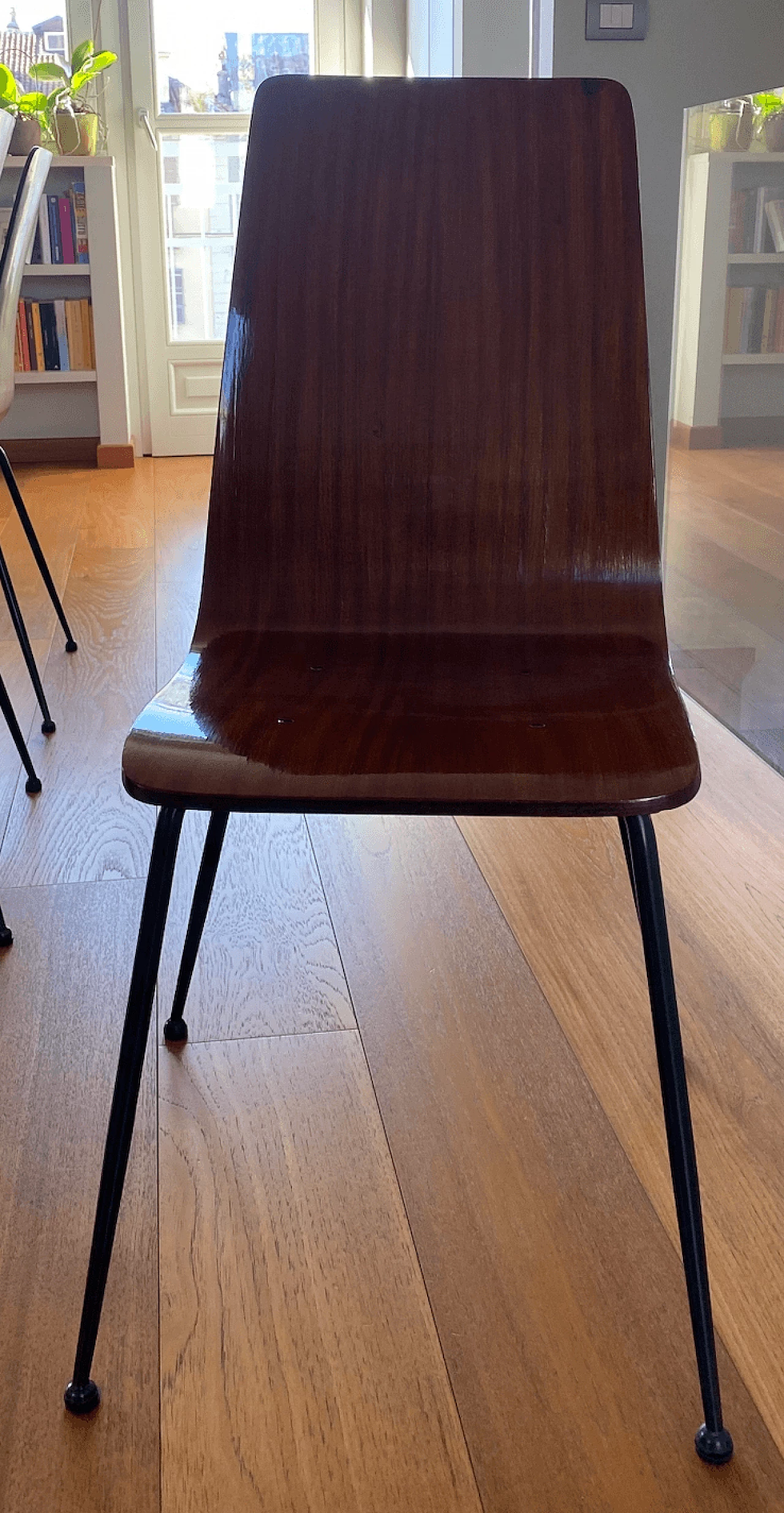 6 Sedie in legno curvato con struttura in metallo laccato di Carlo Ratti, anni '50 3