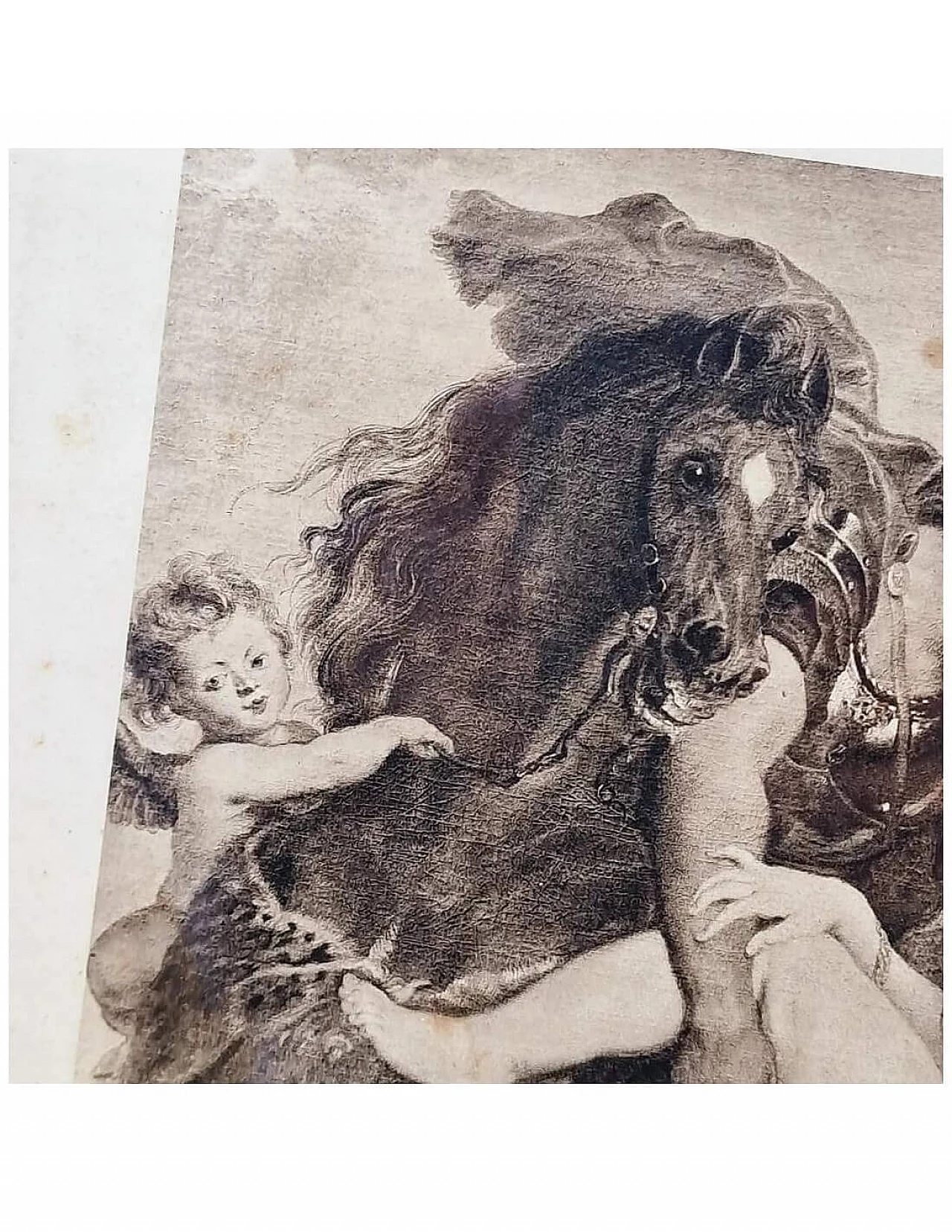Il ratto delle Leucippidi, incisione nello stile di Rubens, fine '800 8