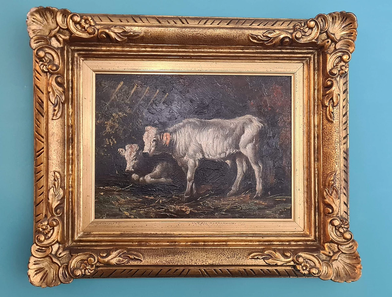 Mucche, dipinto a olio su tela, inizio '900 1