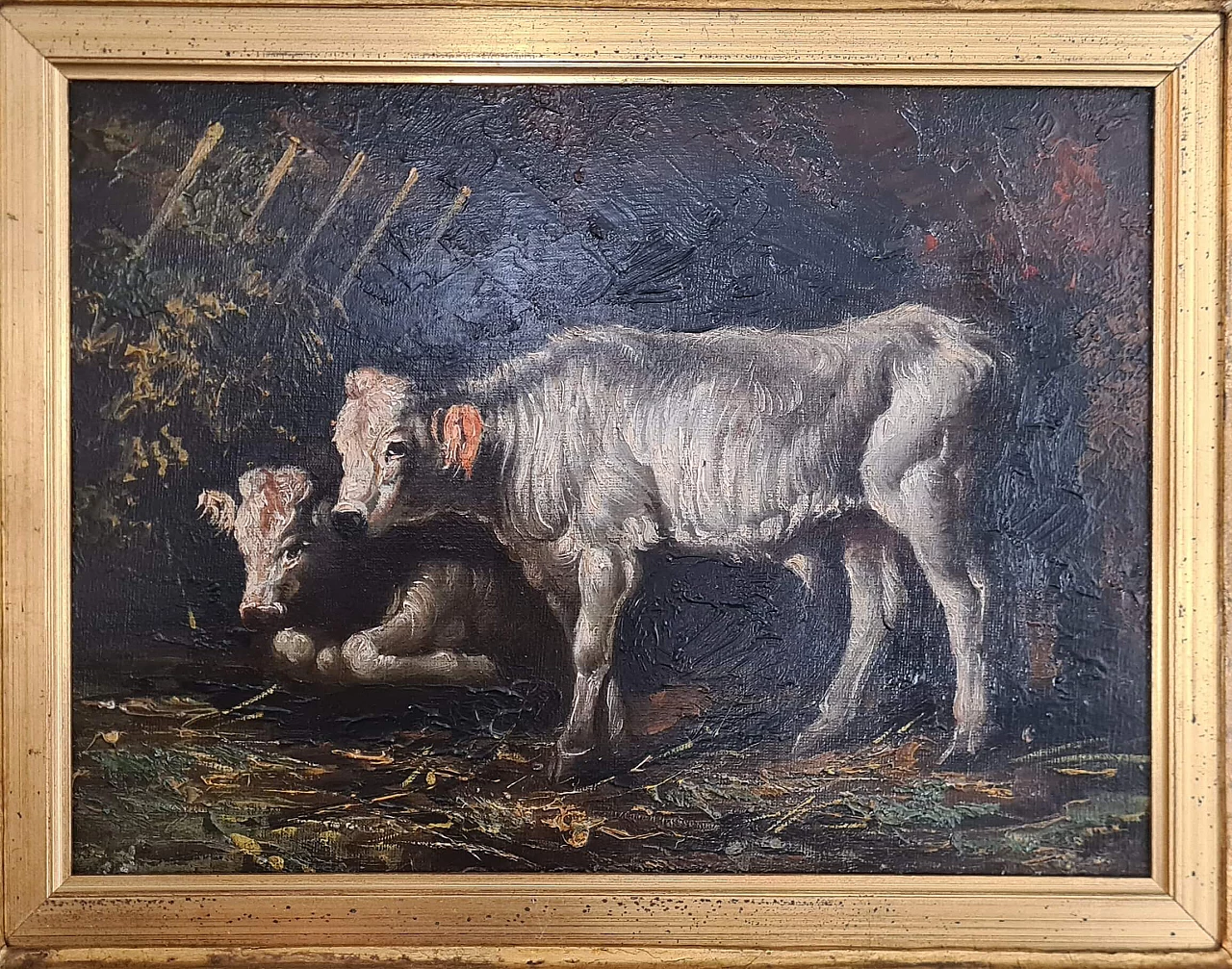 Cows, oil painting on canvas, early 20th century 4