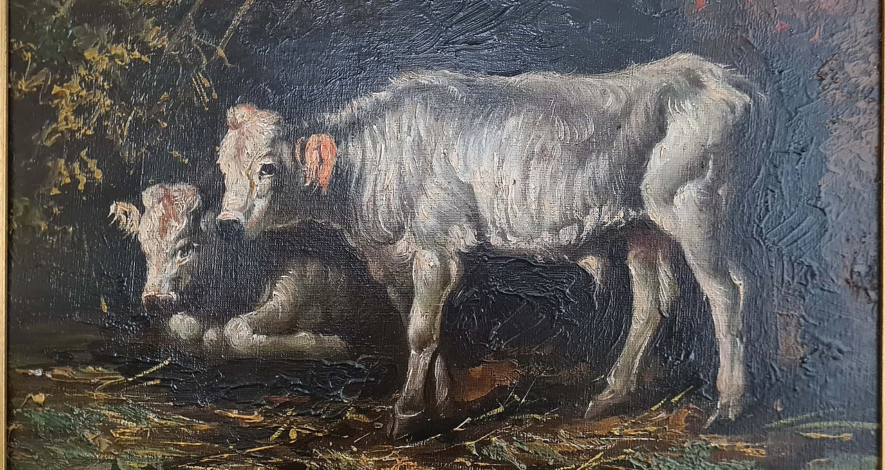 Mucche, dipinto a olio su tela, inizio '900 5