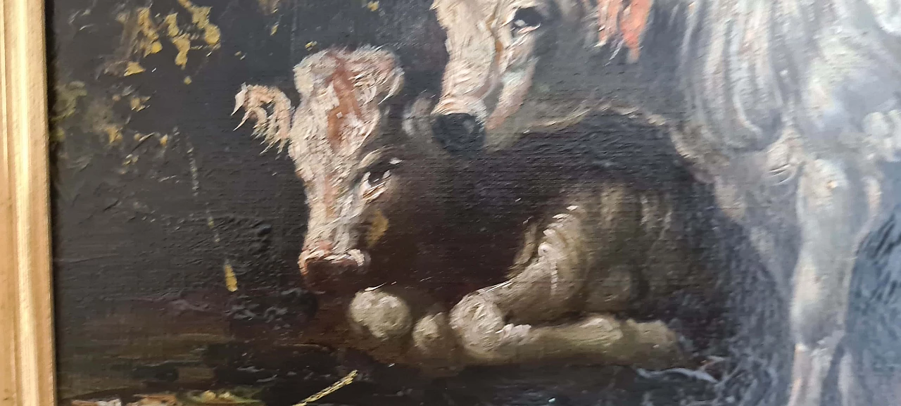 Mucche, dipinto a olio su tela, inizio '900 6