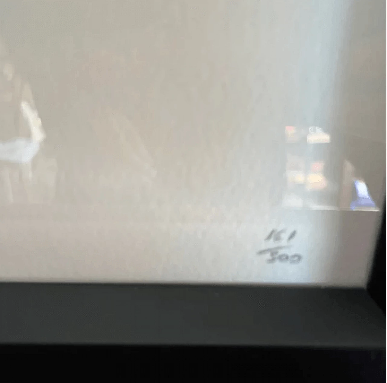 Panda, litografia di Andy Warhol, metà '900 3