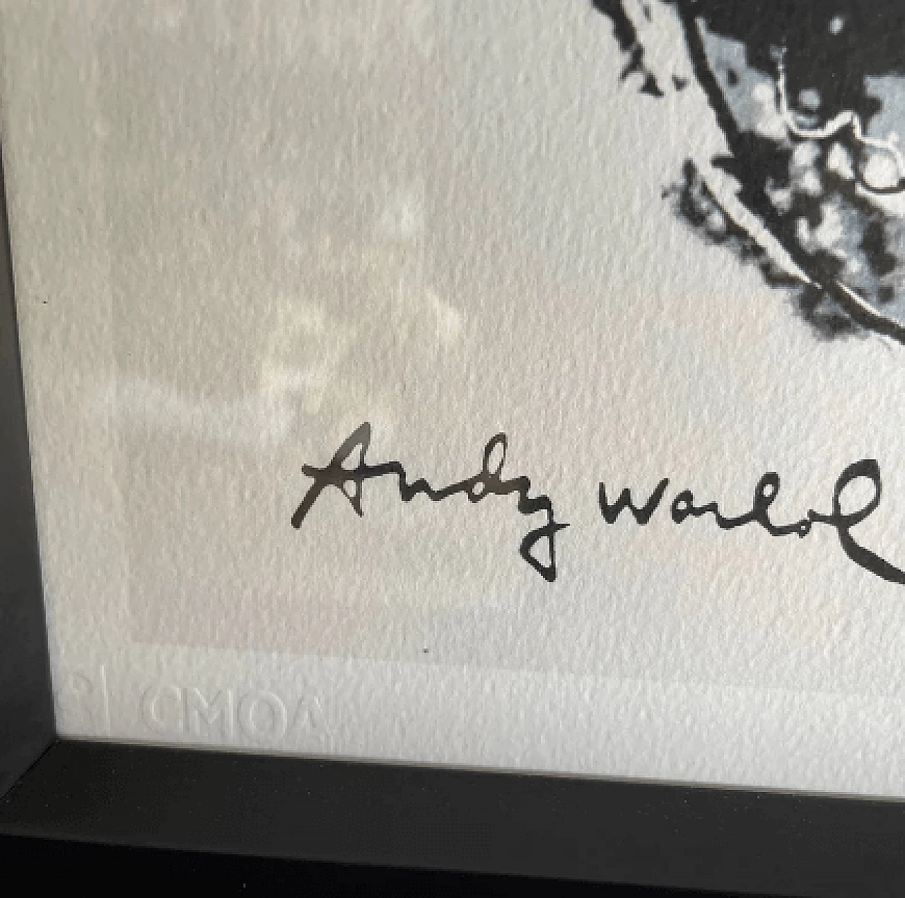 Panda, litografia di Andy Warhol, metà '900 4
