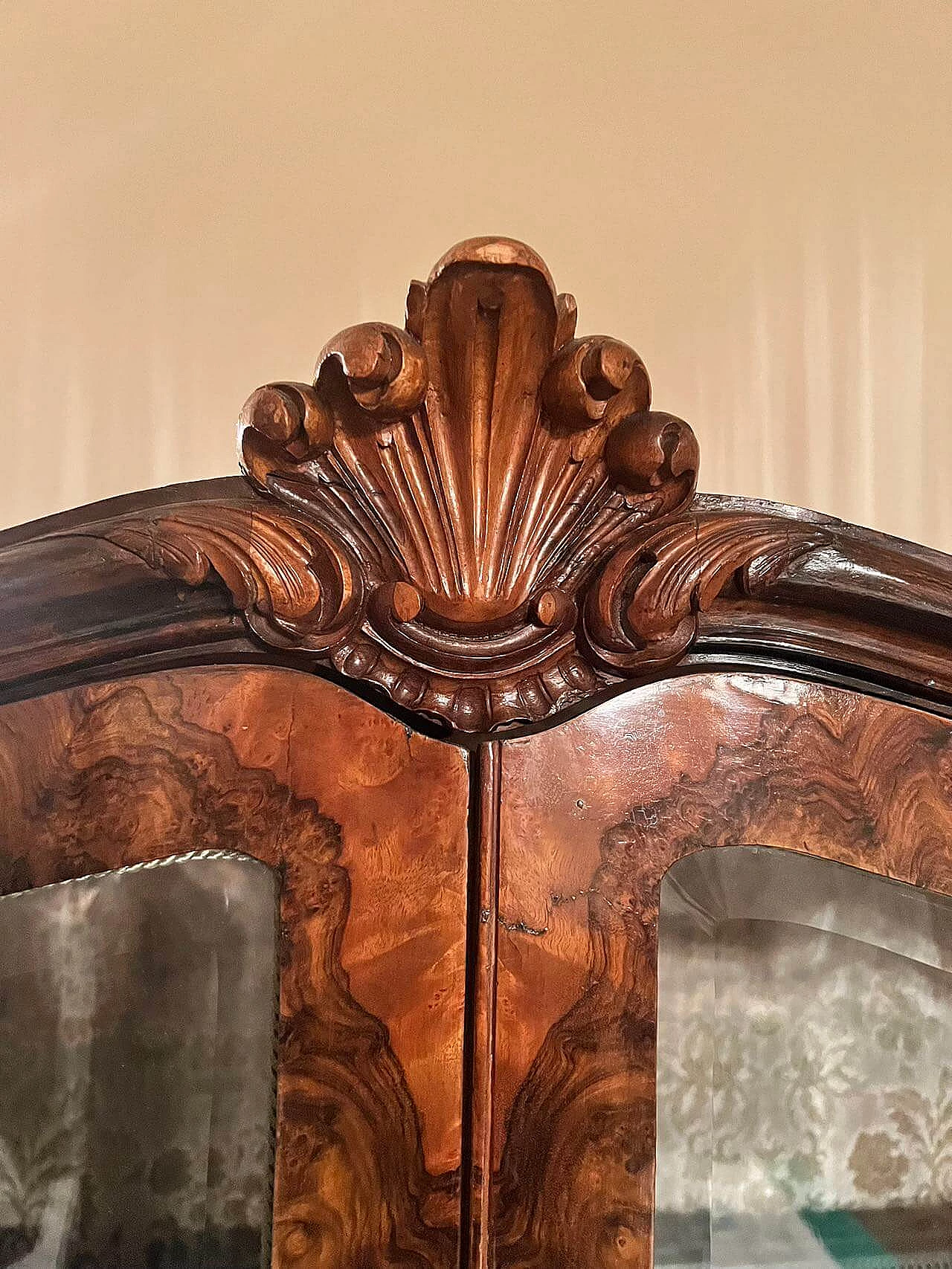 Rounded display case in briarwood with velvet damask back, early 20th century 3