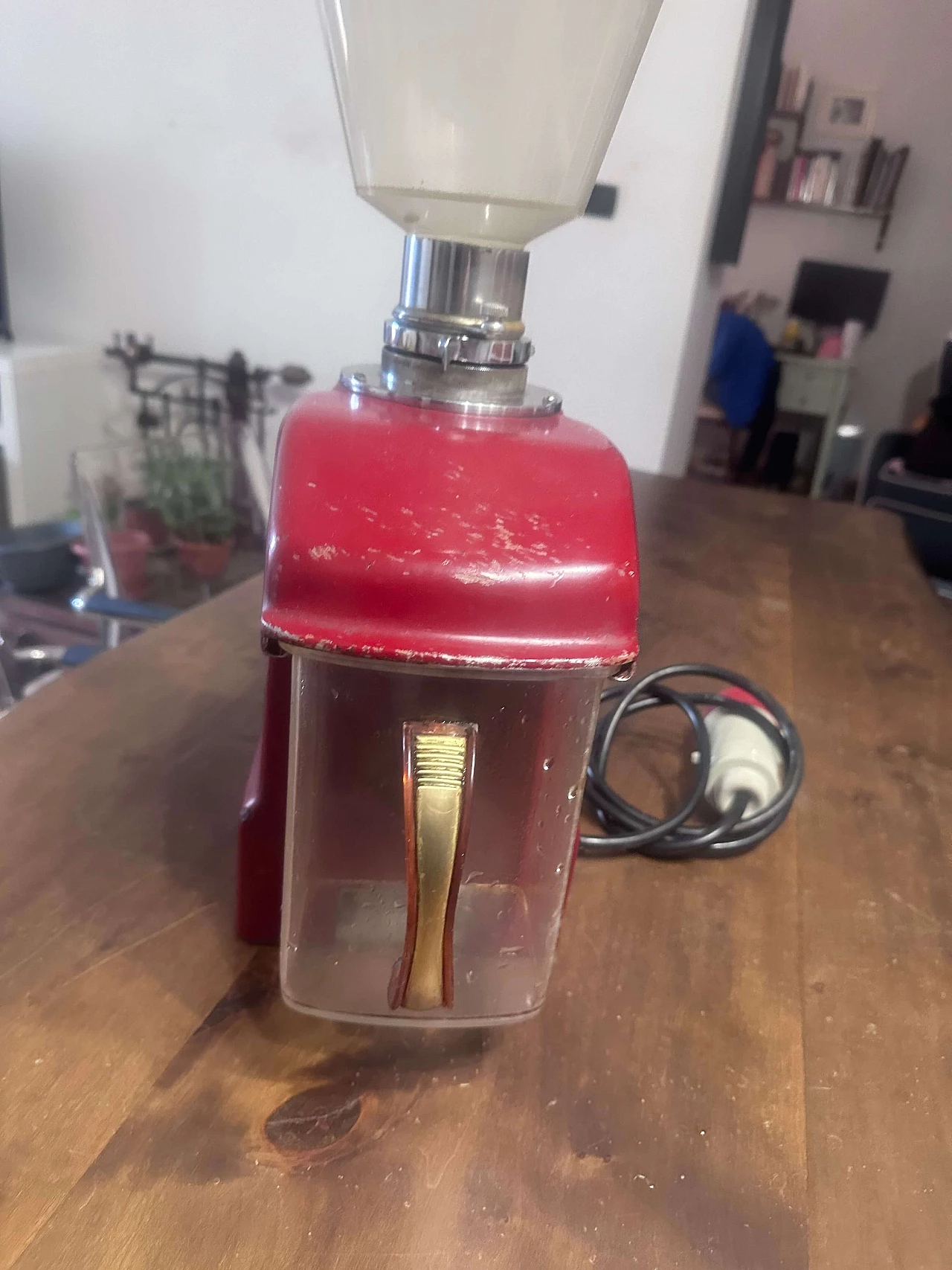 Macinacaffè da torrefazione di Officine Vittoria, anni '50 2