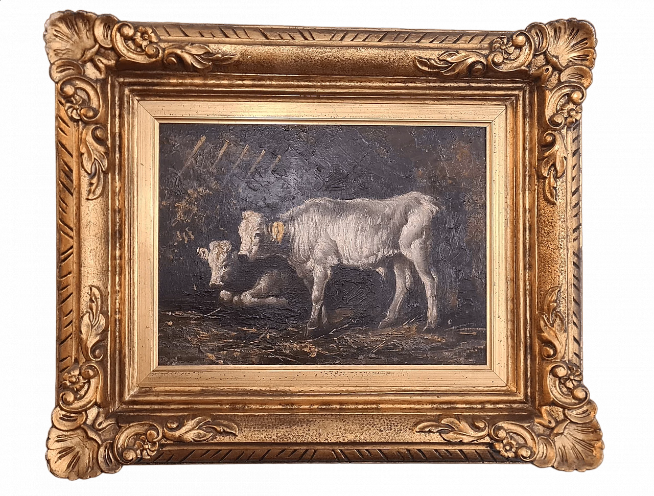 Mucche, dipinto a olio su tela, inizio '900 8