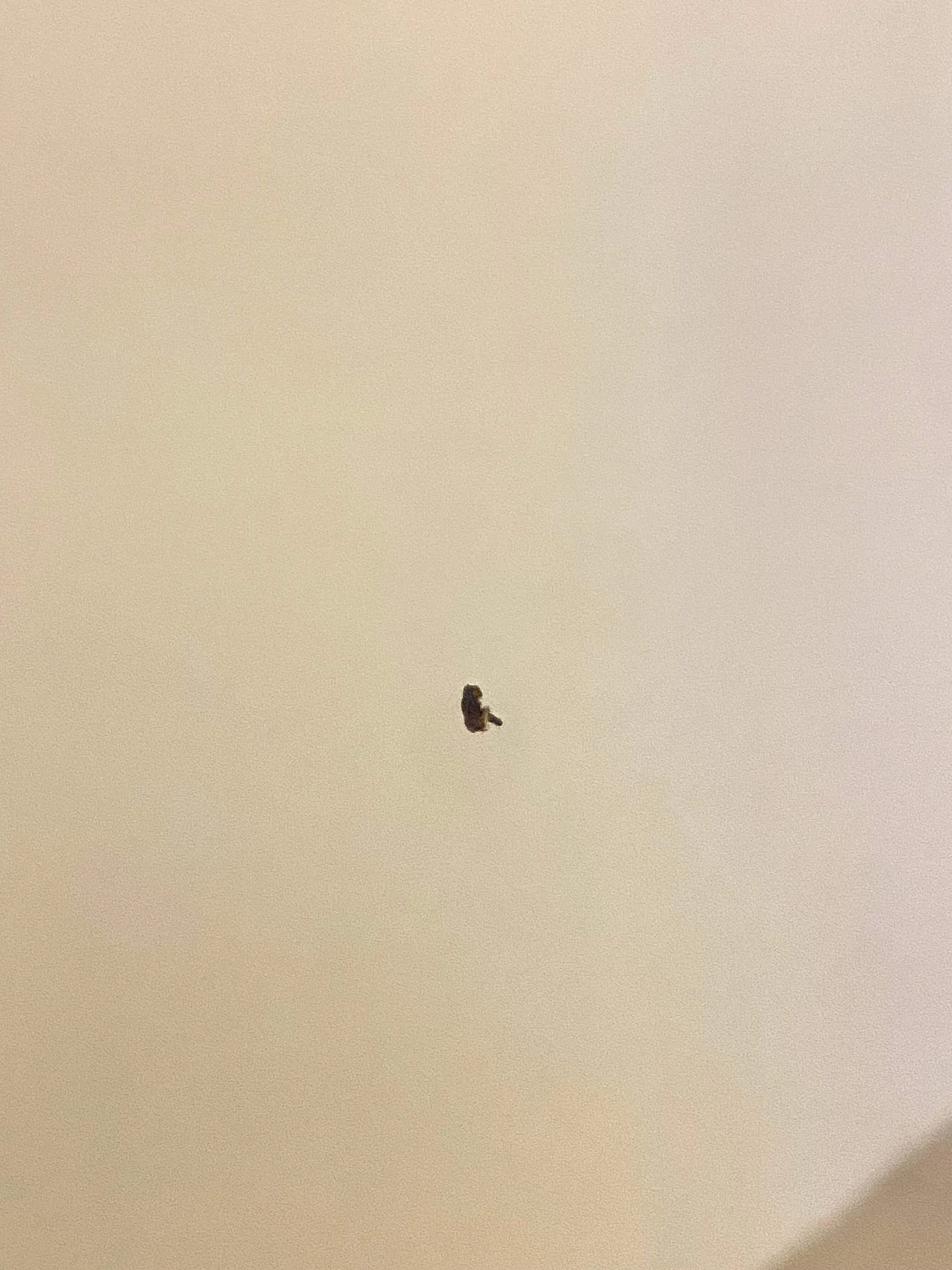 Specchio Space Age rotondo in legno laccato avorio, anni '60 7