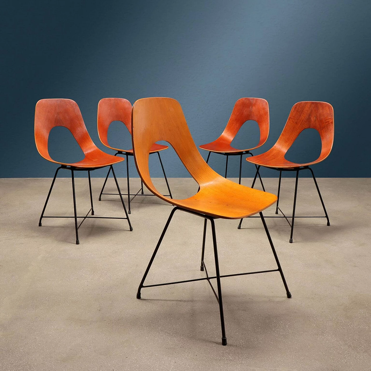 5 Ariston chairs in curved plywood by Augusto Bozzi for Saporiti, 1950s 1