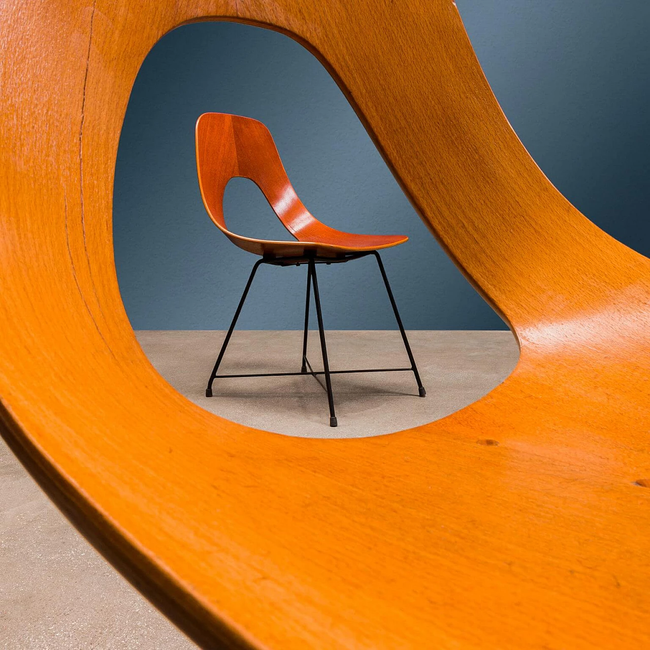 5 Ariston chairs in curved plywood by Augusto Bozzi for Saporiti, 1950s 2