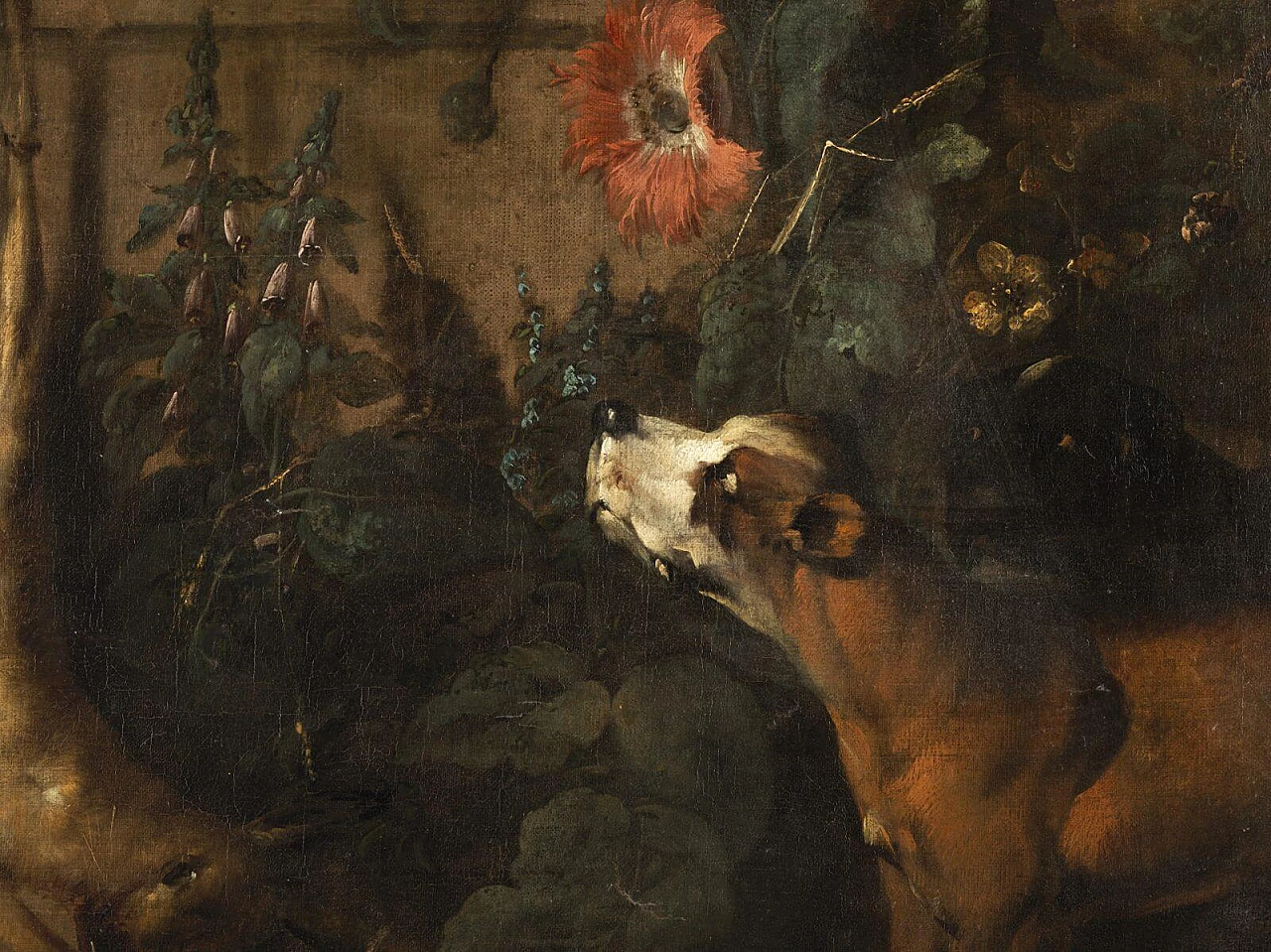 Natura morta con cane, dipinto a olio su tela attribuito a Jan Weenix, '600 4