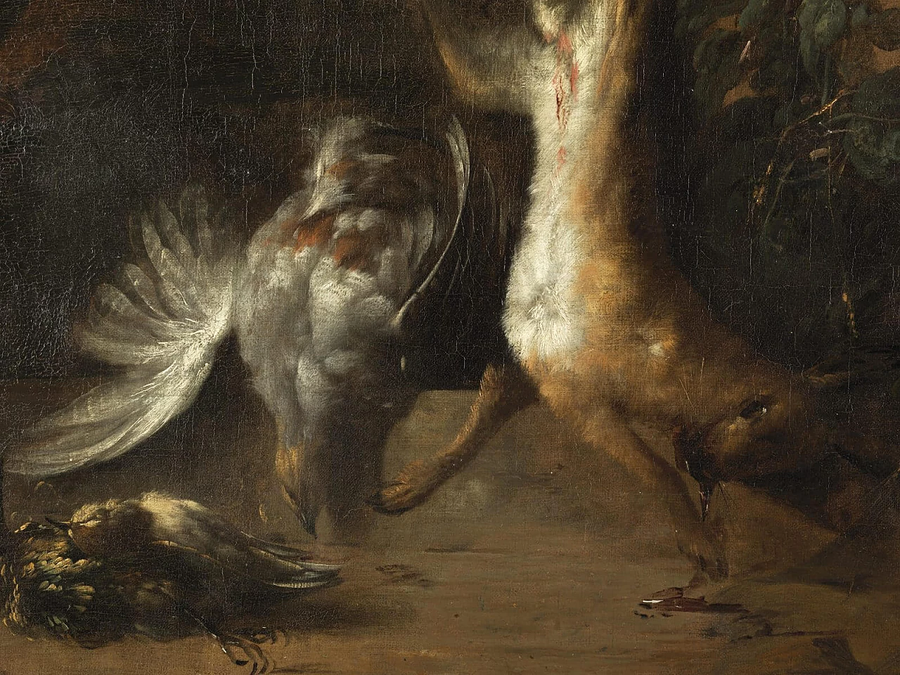 Natura morta con cane, dipinto a olio su tela attribuito a Jan Weenix, '600 5