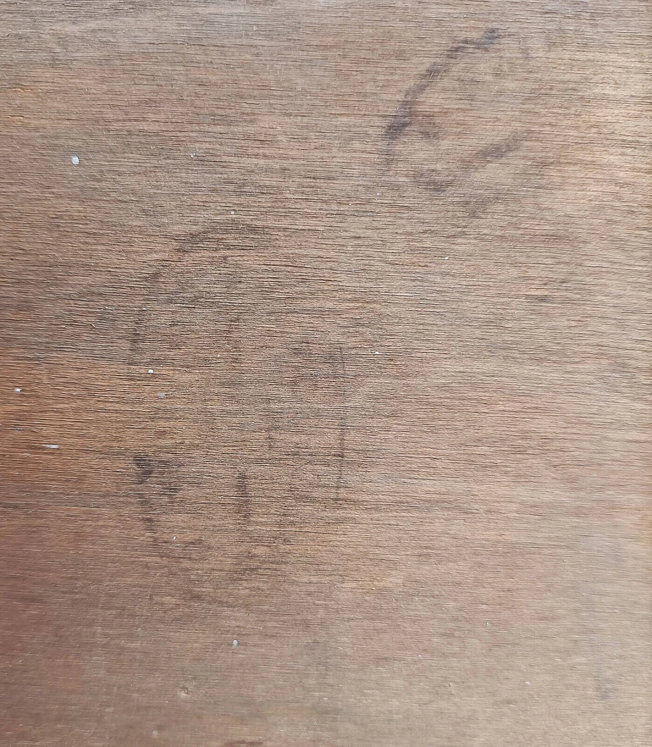 Susanna e i Vecchioni, dipinto a olio su tela riportato su tavola, seconda metà del '700 6