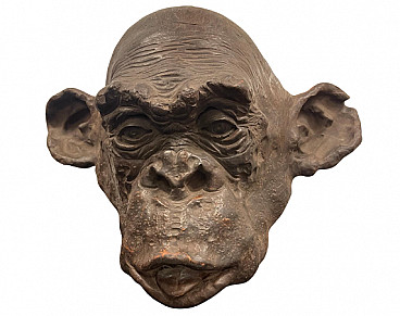 Angelo Zanella, bonobo monkey head, terracotta sculpture, 2019