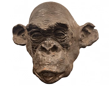 Angelo Zanella, testa di scimmia bonobo, scultura in terracotta, 2019