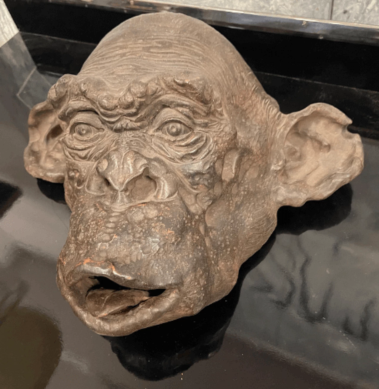 Angelo Zanella, bonobo monkey head, terracotta sculpture, 2019 5