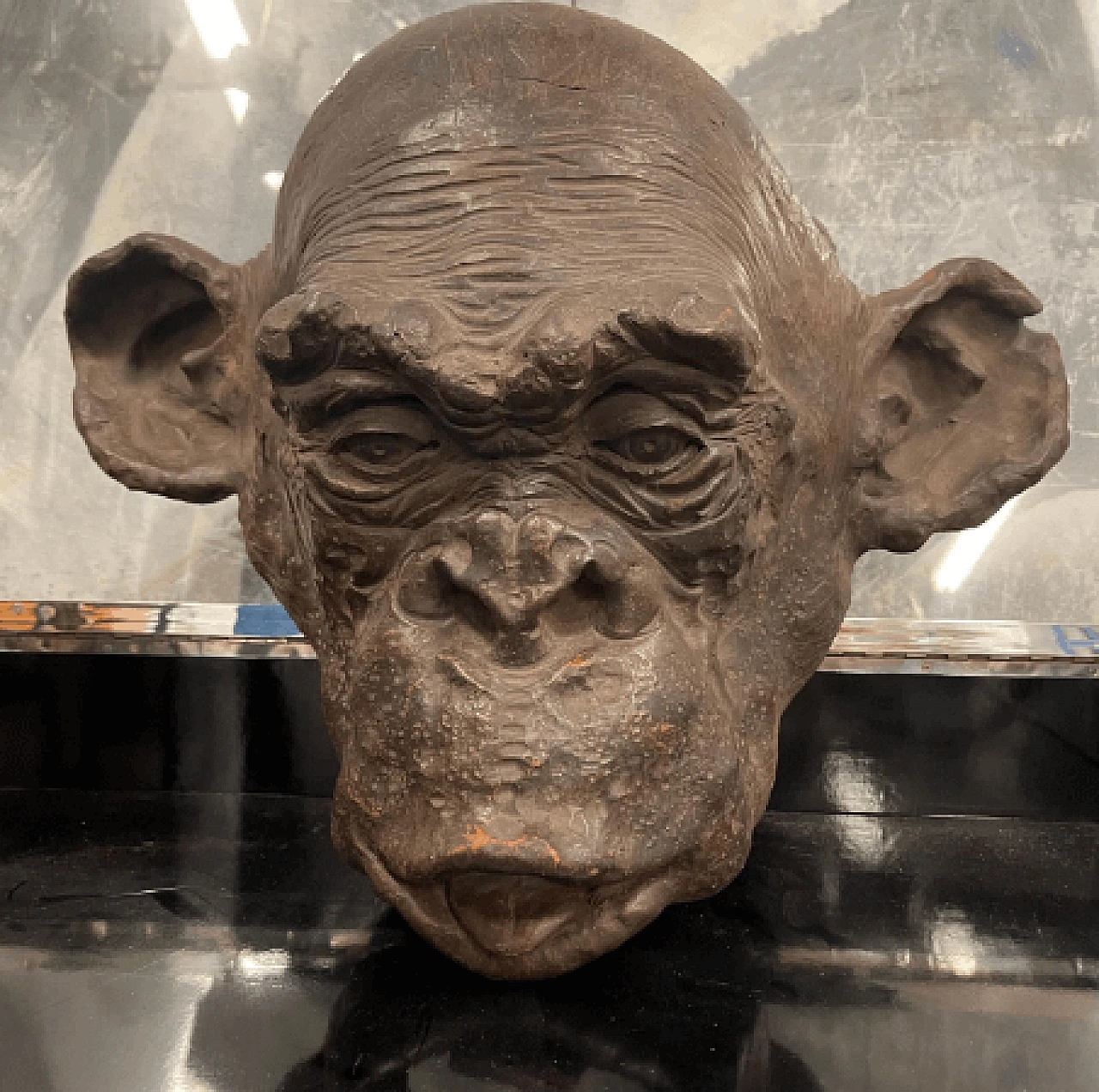 Angelo Zanella, bonobo monkey head, terracotta sculpture, 2019 7