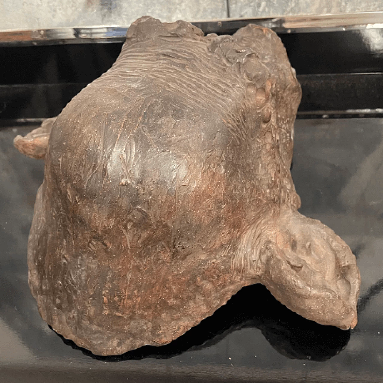Angelo Zanella, bonobo monkey head, terracotta sculpture, 2019 8