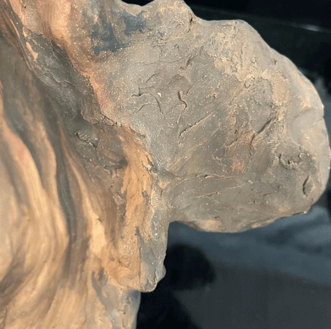 Angelo Zanella, bonobo monkey head, terracotta sculpture, 2019 18