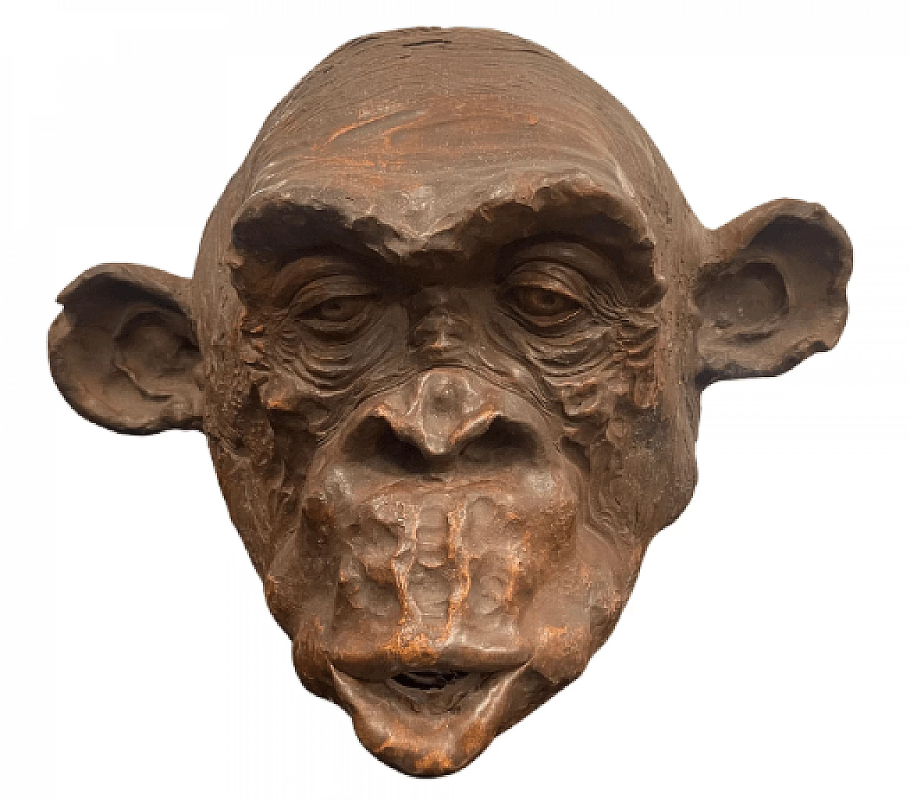 Angelo Zanella, testa di scimmia bonobo, scultura in terracotta, 2018 1